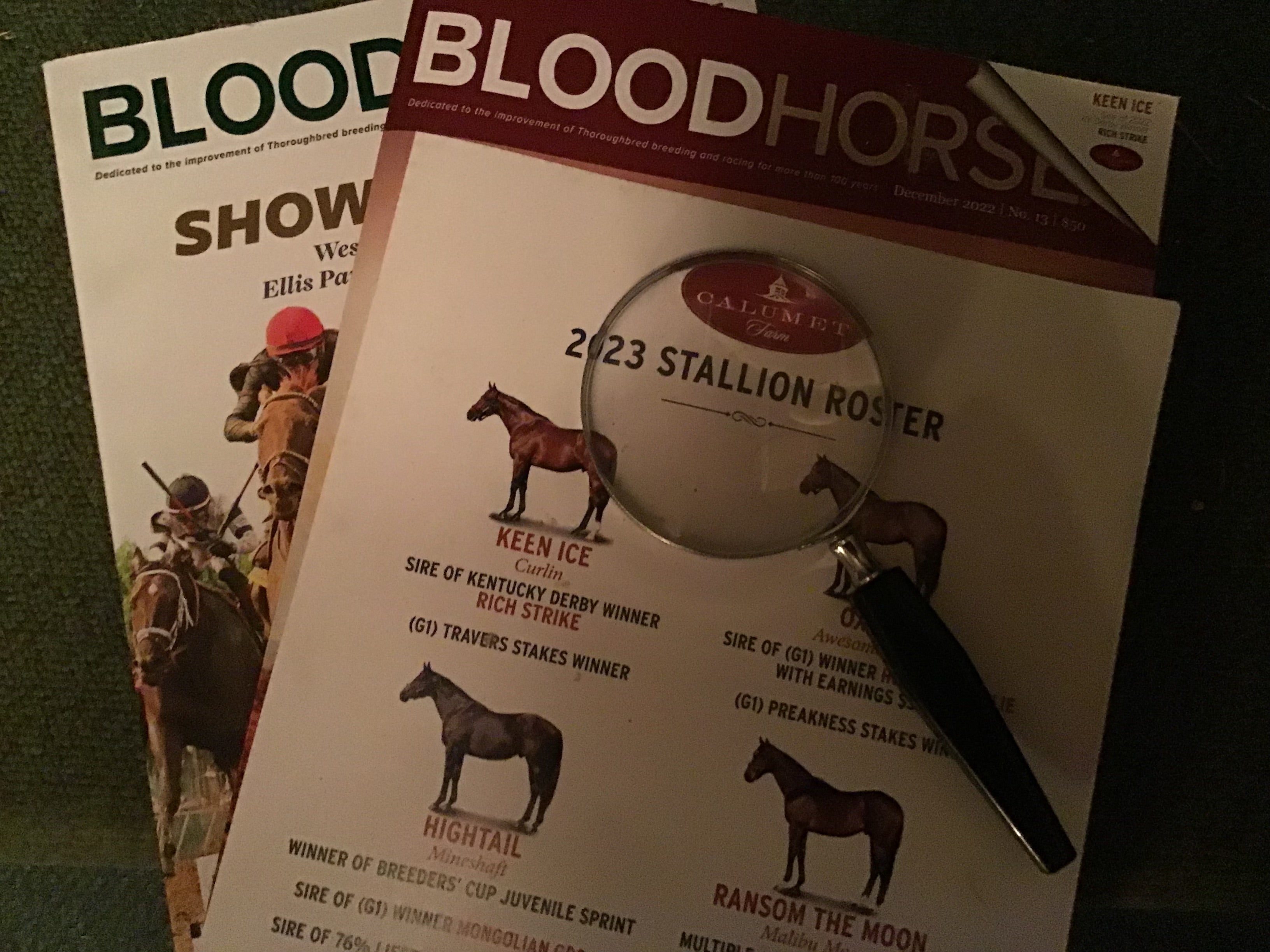 Frustrated with being left out of the horse industry? I hear ya !